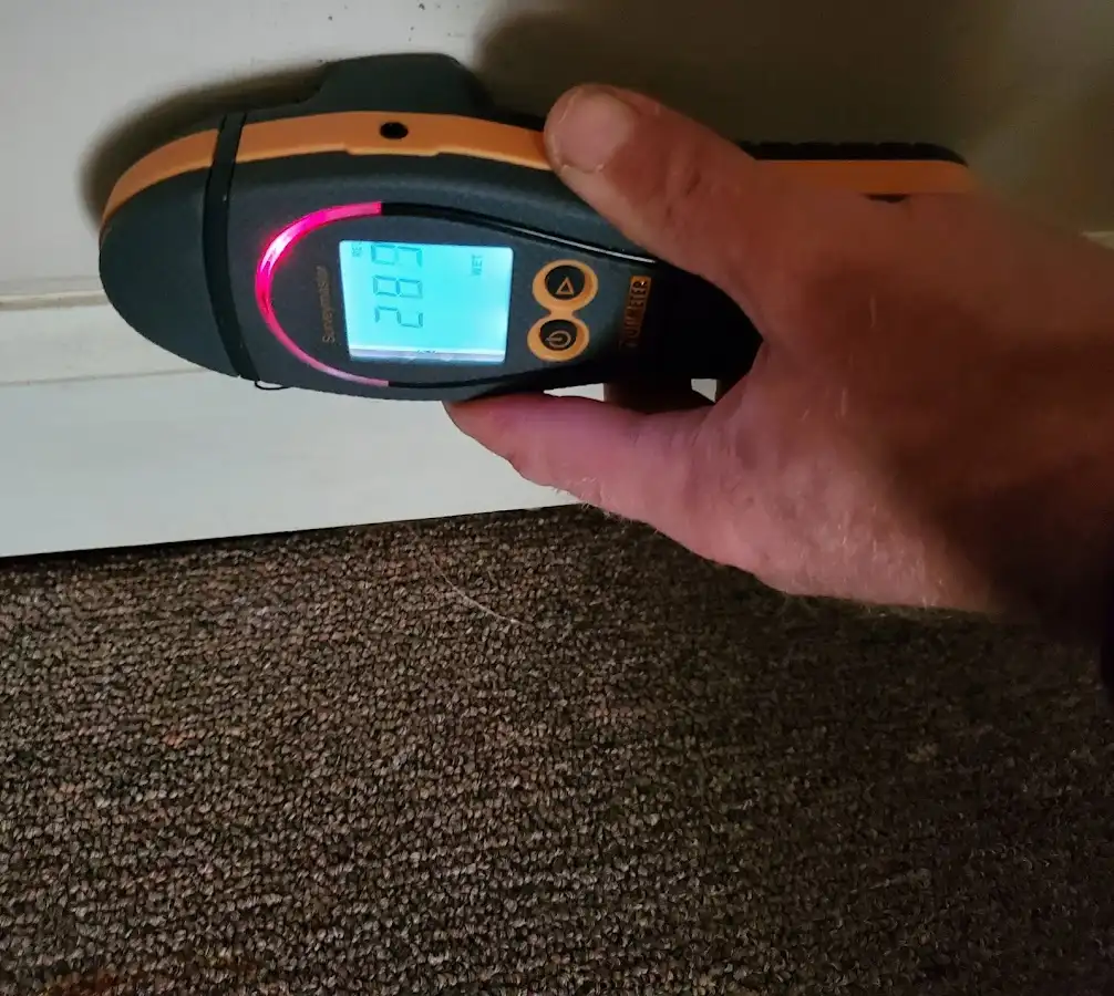 Moisture detection at baseboard during Sewage Cleanup & Sanitation in Front Royal